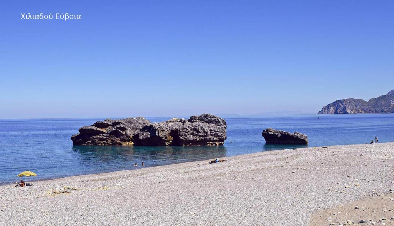 Fabulous Central Apartment Close To The Sea! Халкис Екстериор снимка